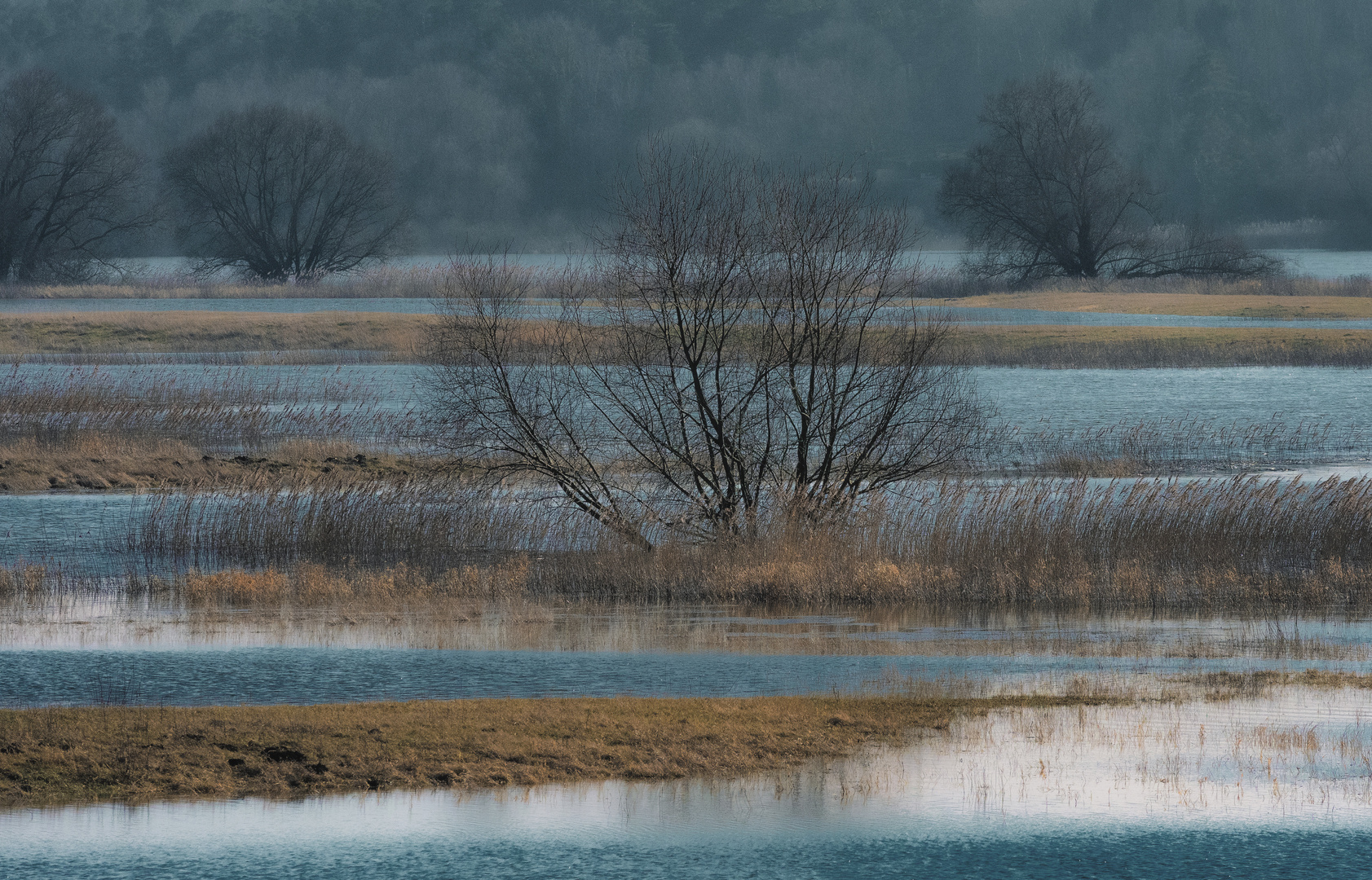 Gelb und Blau