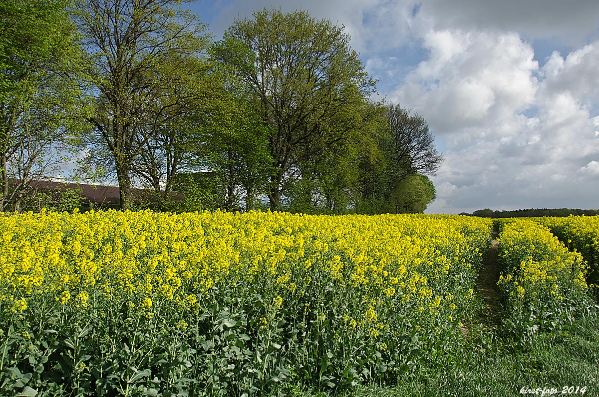 Gelb und Grün