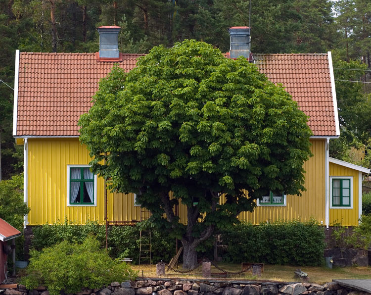 Gelb und Grün - Schwedische Impression