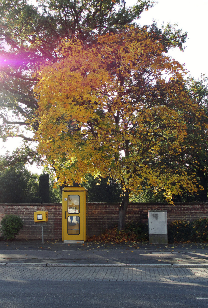 gelb, yellow,jaune :)