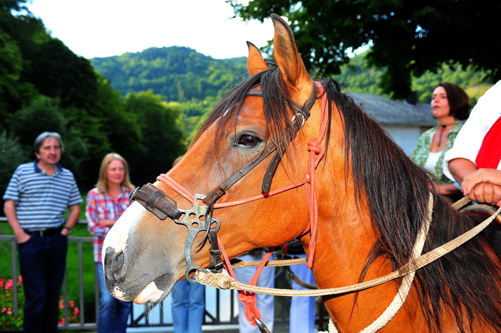 Gelbach Glühen