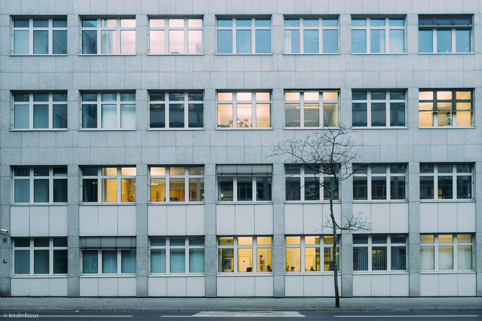 Gelbblauemustermitbaum