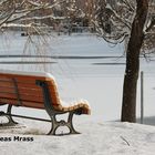 gelbe Bank im Schnee (Schneelandschaft)