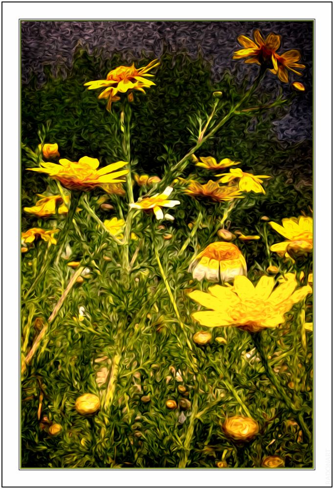 Gelbe Blumen am Straßenrand!