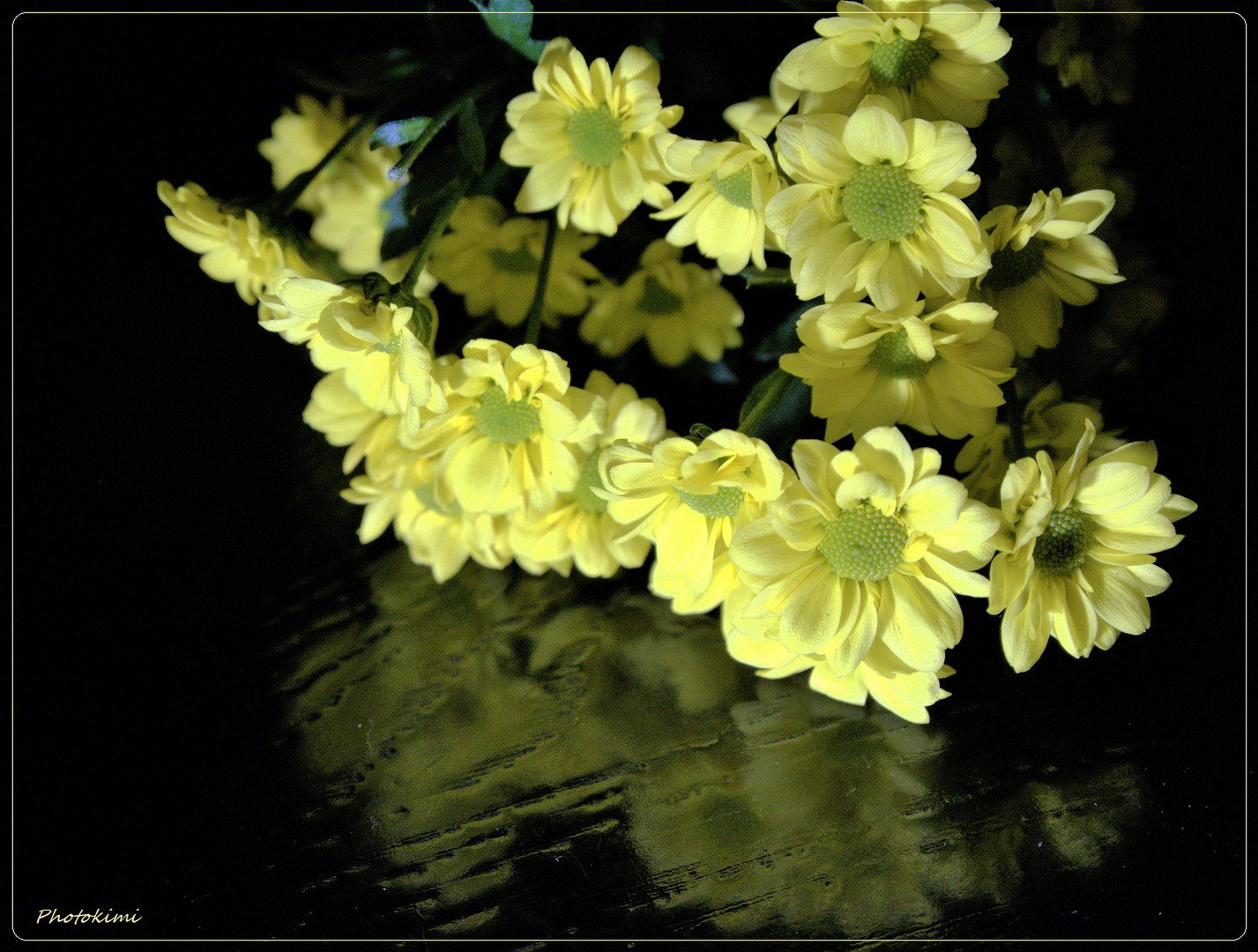 Gelbe Chrysantheme