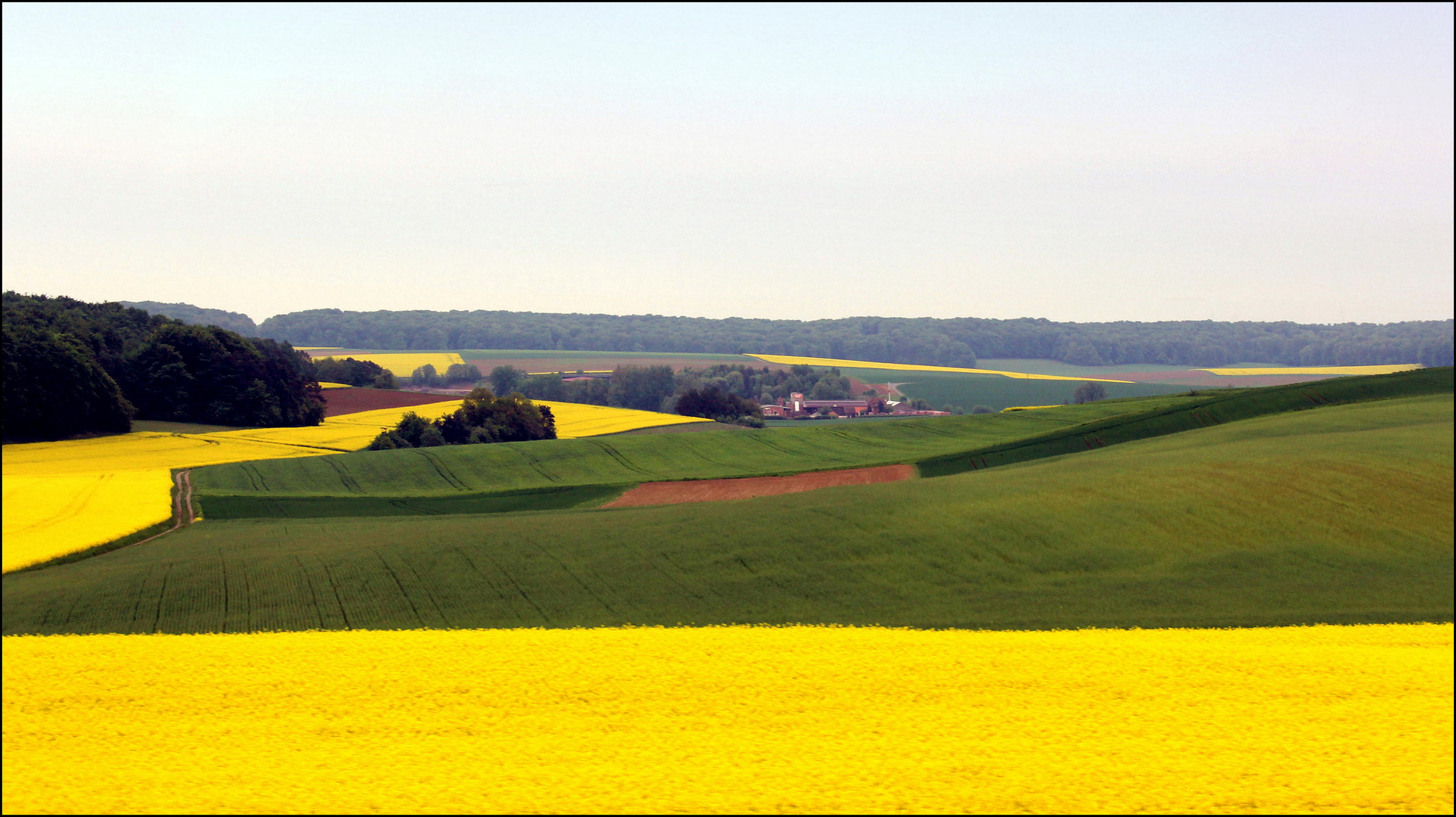 Gelbe "Farbtupfer" bereichern die schöne Landschaft