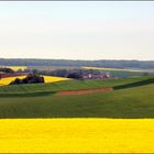 Gelbe "Farbtupfer" bereichern die schöne Landschaft