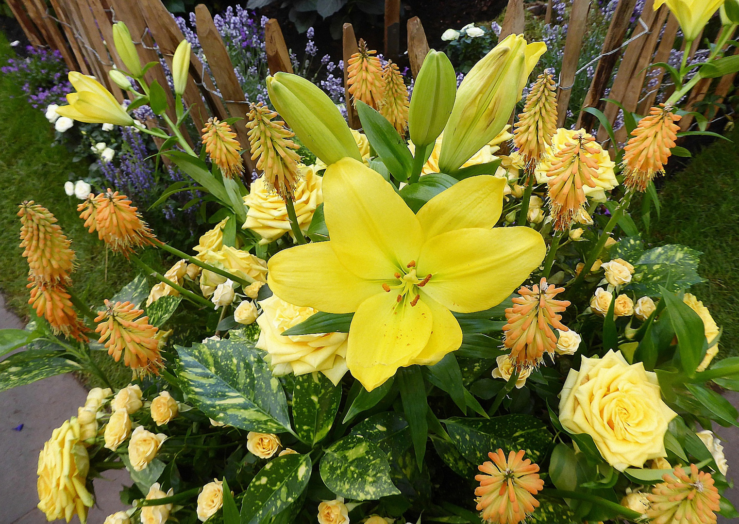 gelbe Lilie zwischen Rosen u.a. Blüten