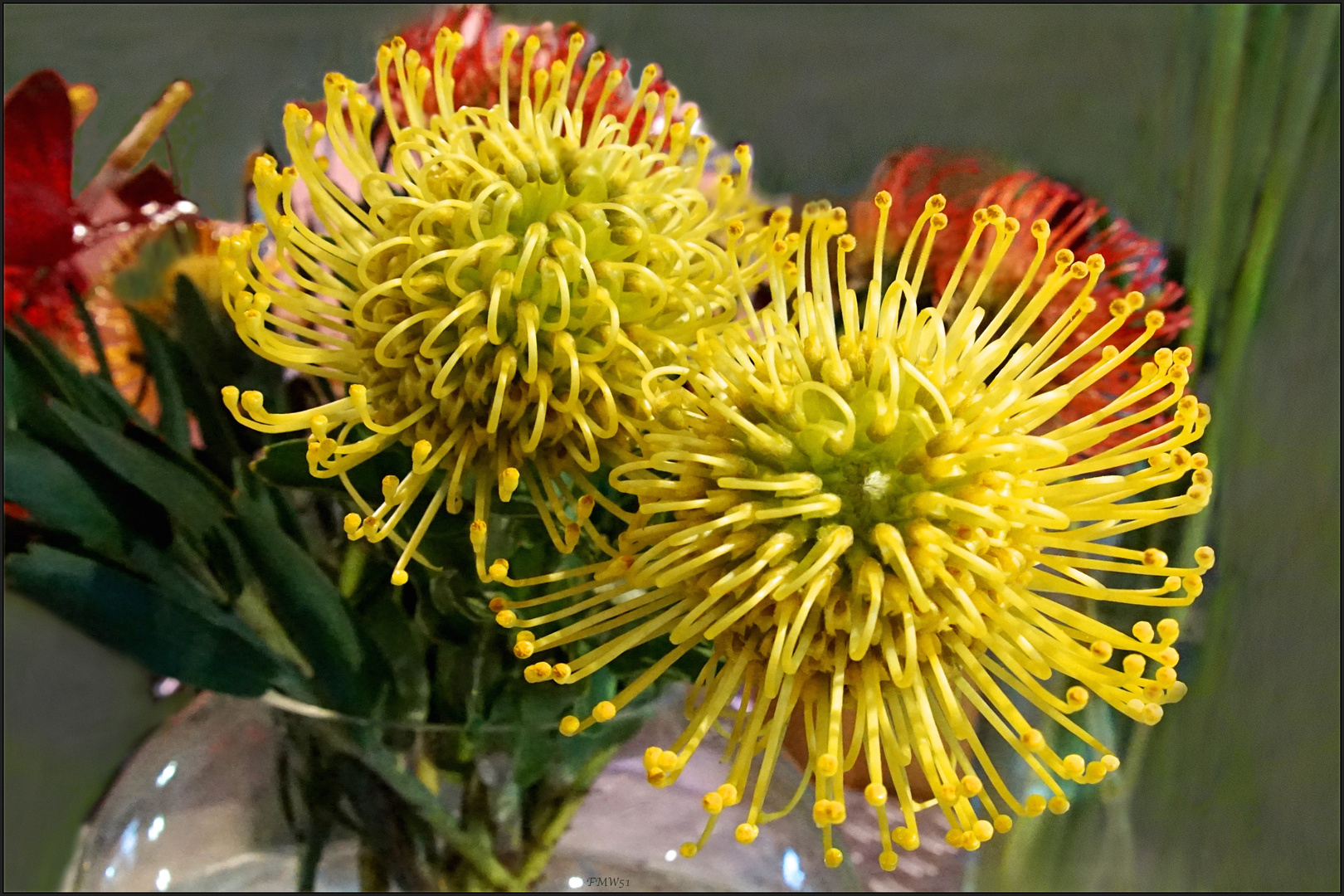 Gelbe Nadelkissen in Kugelvase