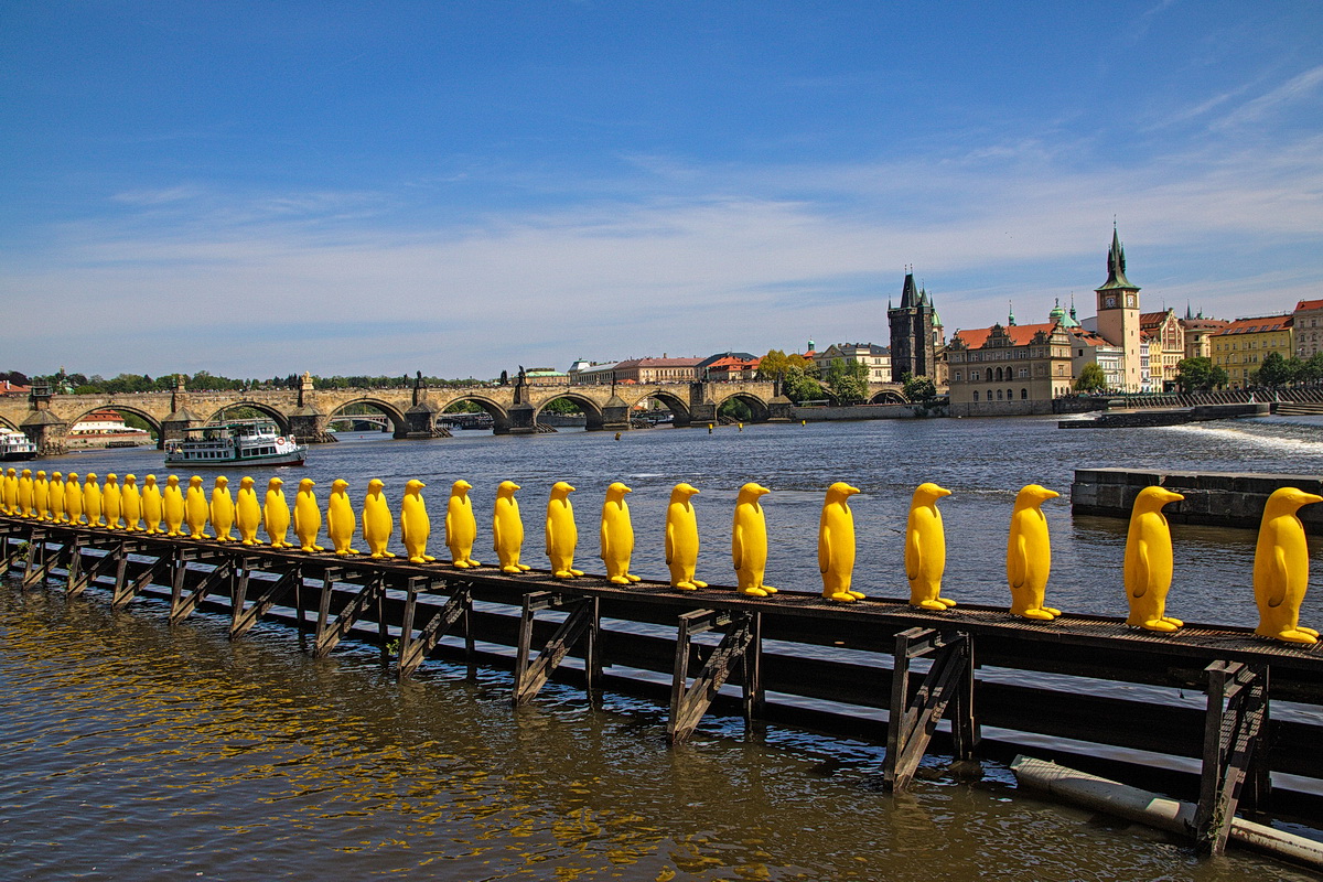 Gelbe Pinguine auf Kampa in Prag