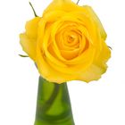 gelbe Rose in Vase