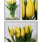 Gelbe Tulpen