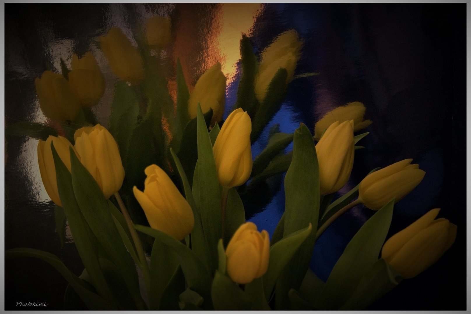 Gelbe Tulpen  
