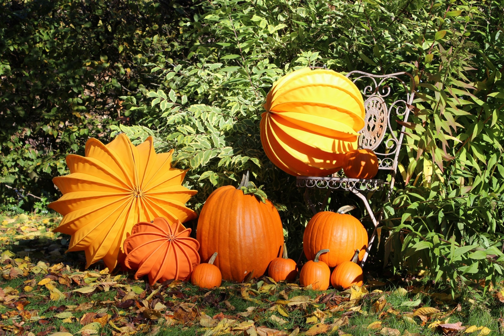 Gelbe und Orangene Lampions im Herbst