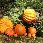 Gelbe und Orangene Lampions im Herbst