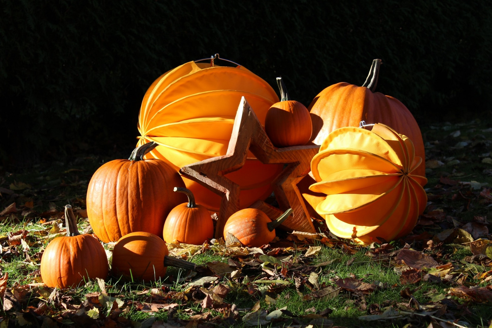 Gelbe und Orangene Lampions im Herbst als Gartendekoration