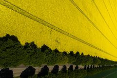 gelbe Wand von Einsiedel