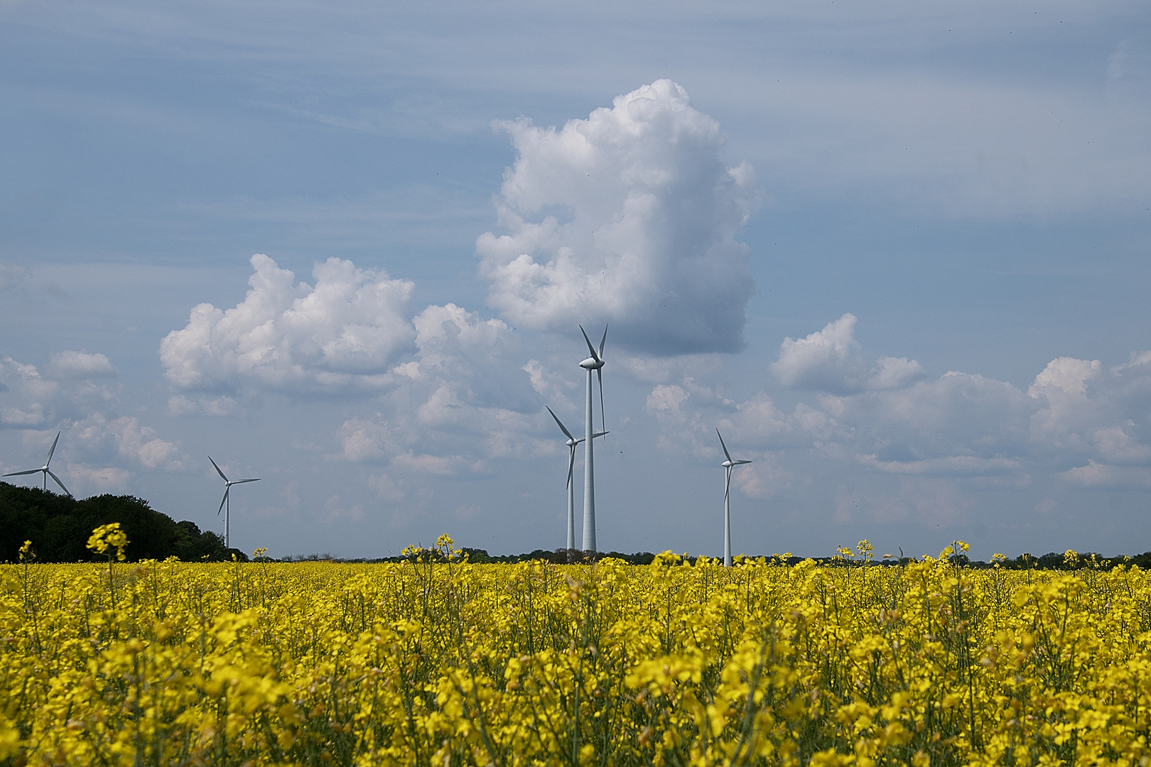 gelbe Windkraft