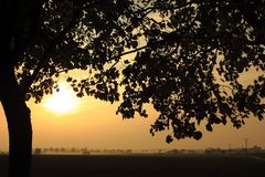 Gelber Abend auf dem Haarstrang