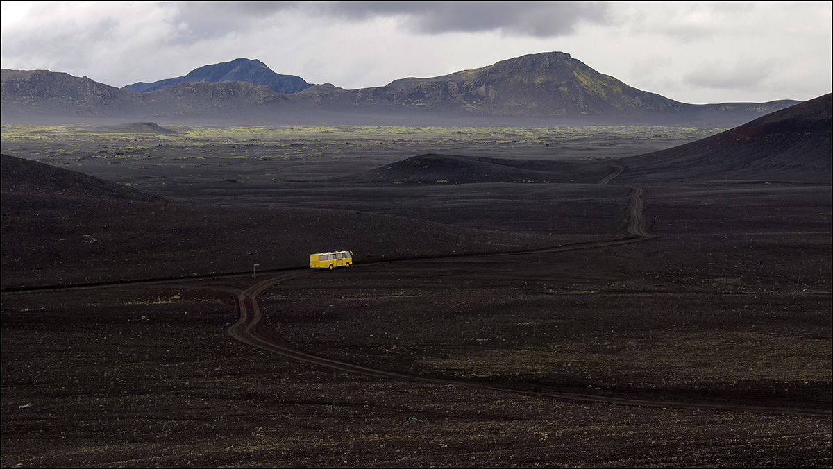 Gelber Bus