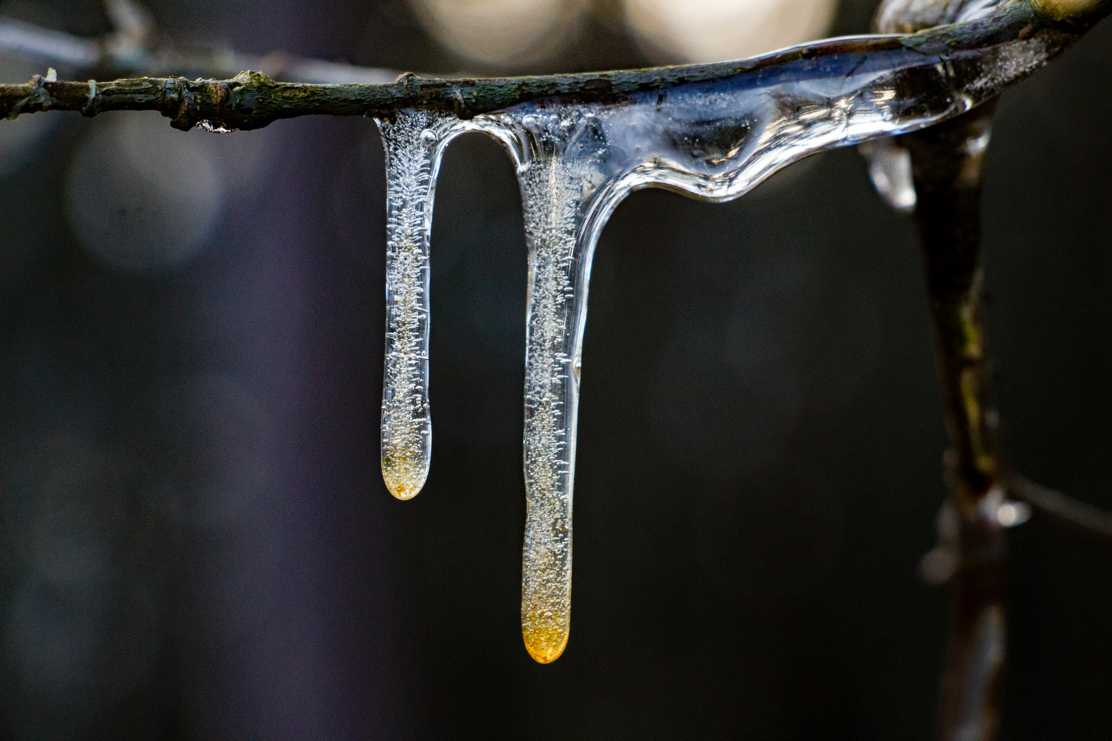 gelber Eiszapfen