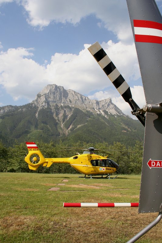 gelber Engel am Erzberg