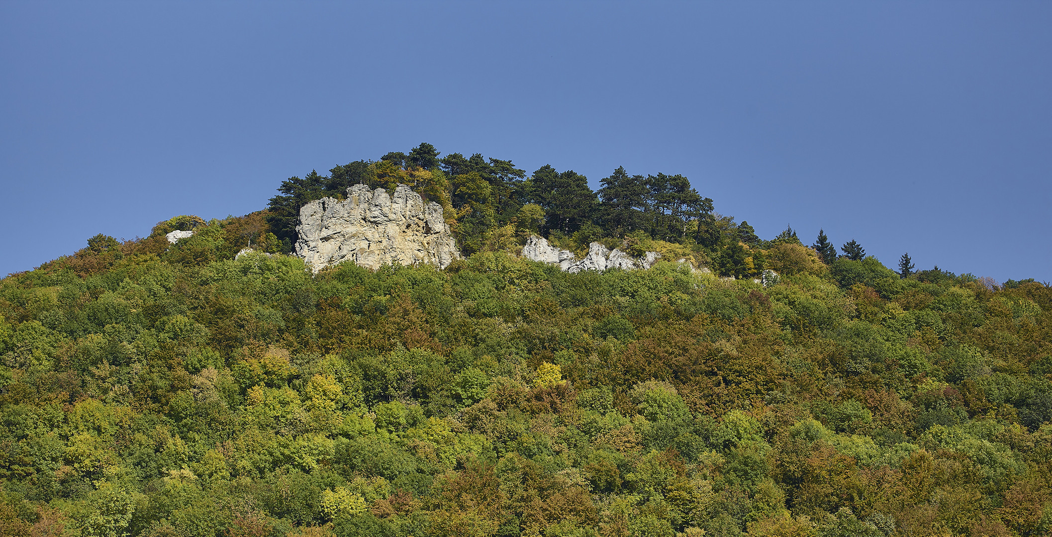 Gelber Fels (Schwäbische Alb)