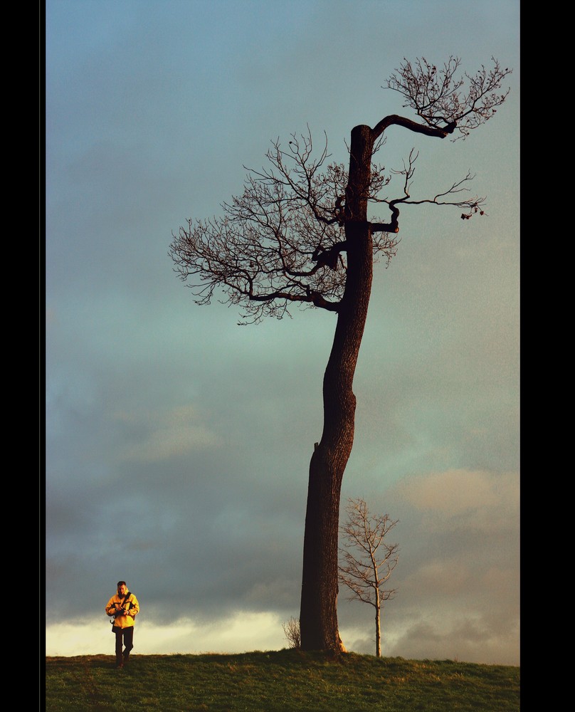 Gelber Fleck in der Landschaft