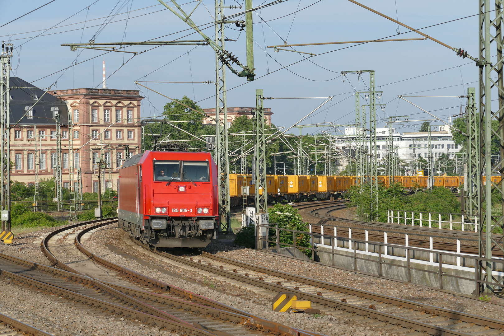 gelber Ganzug vor Mannheimer Schloß