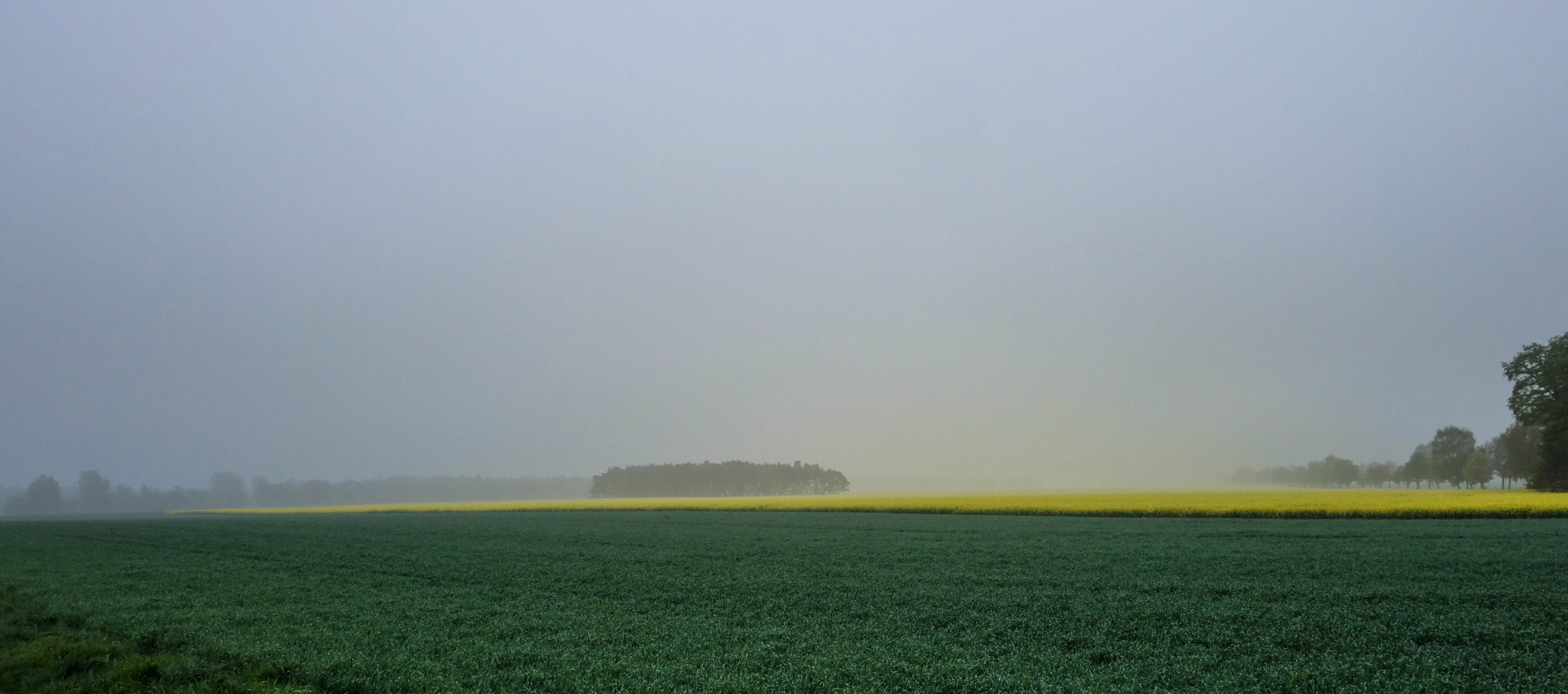 Gelber Nebel