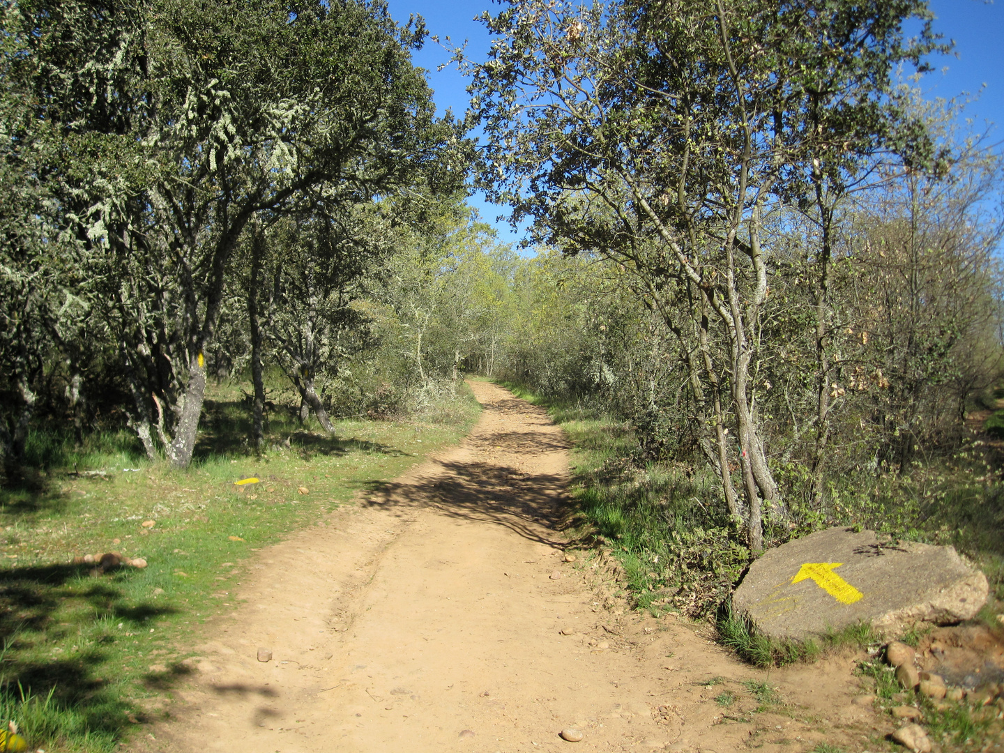 gelber Pfeil nach Santiago