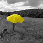 Gelber Schirm