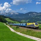 Gelber Stier in den Alpen