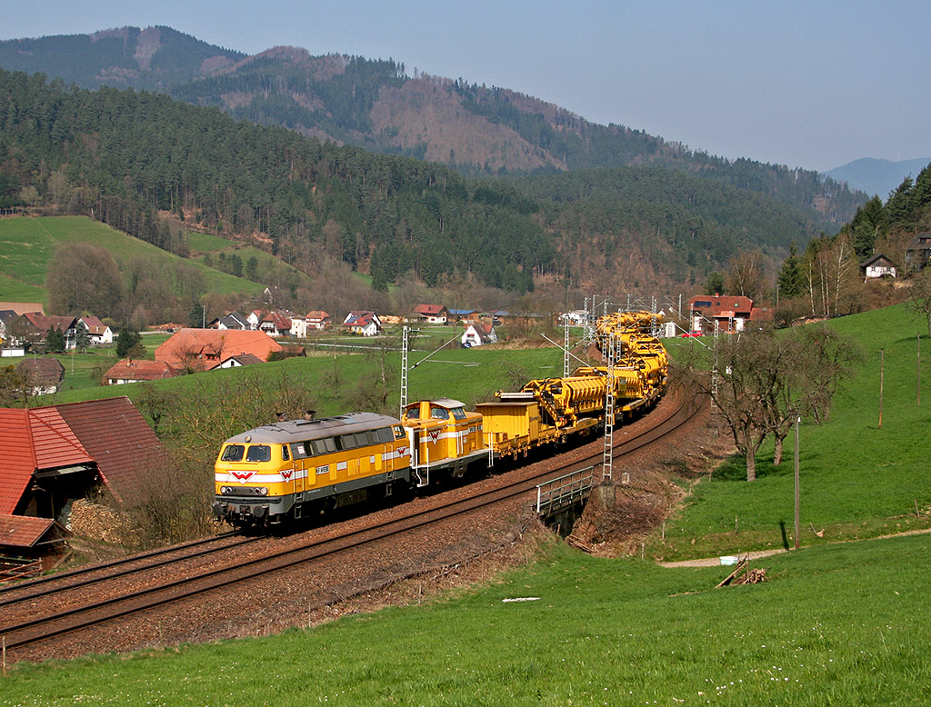 Gelbes Doppel erklimmt die Schwarzwaldhöhen