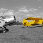 Gelbes Flugzeug  - Antonov