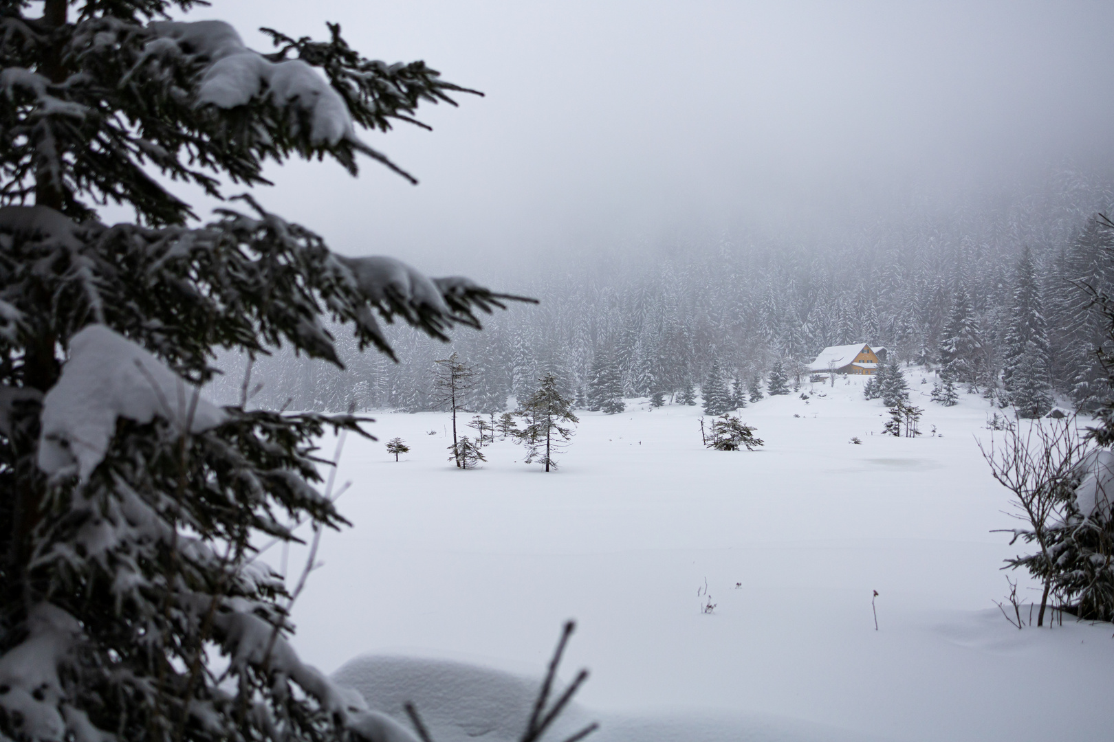 gelbes Haus im Schnee