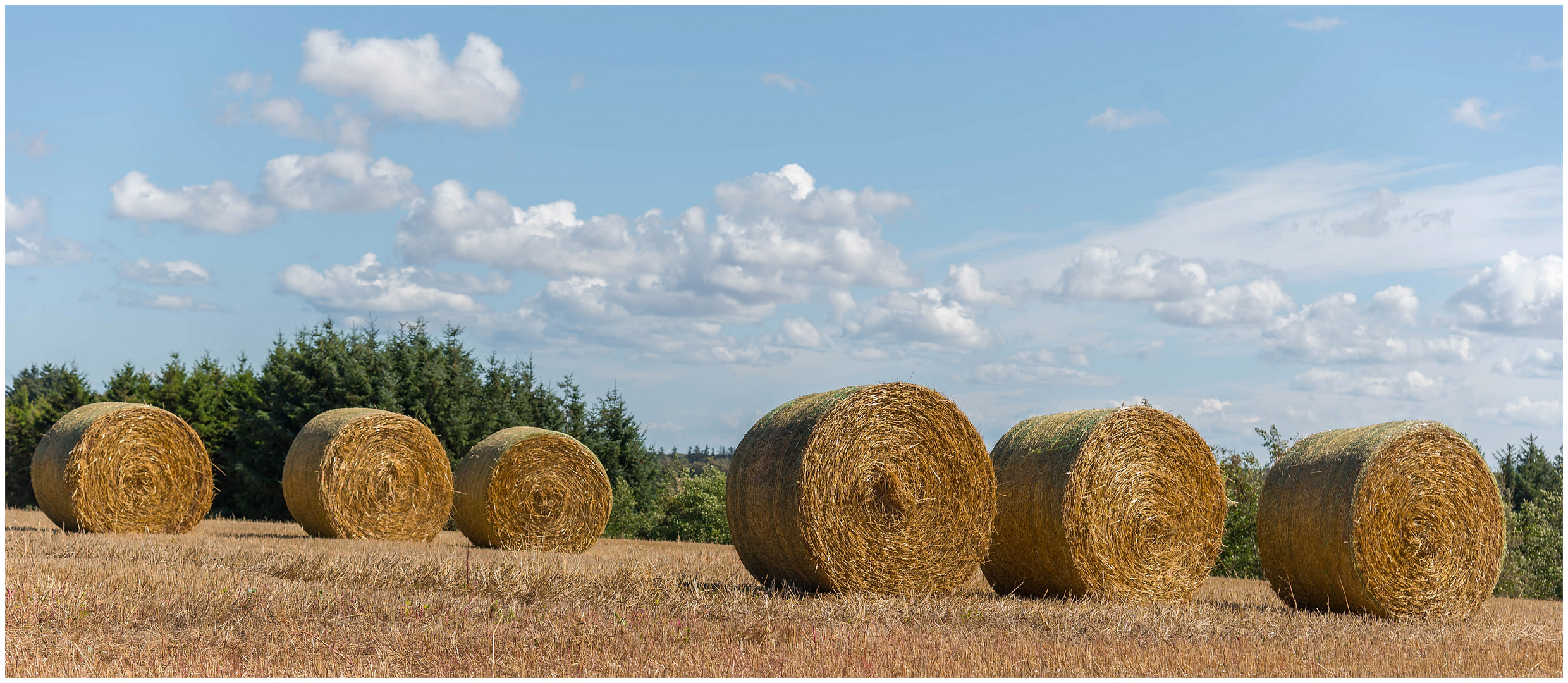 Gelbes Stroh und blauer Himmel