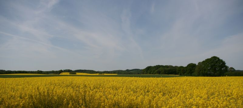 GelbGrünBlau