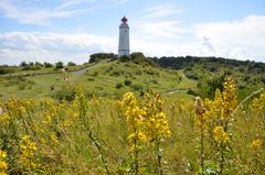 gelblicher farbenrausch am Leuchtturm Dornbusch 