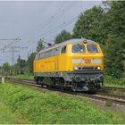 Gelb_Sucht