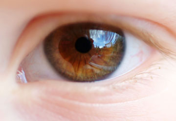 Geld verdienen mit den eigenen Bildern