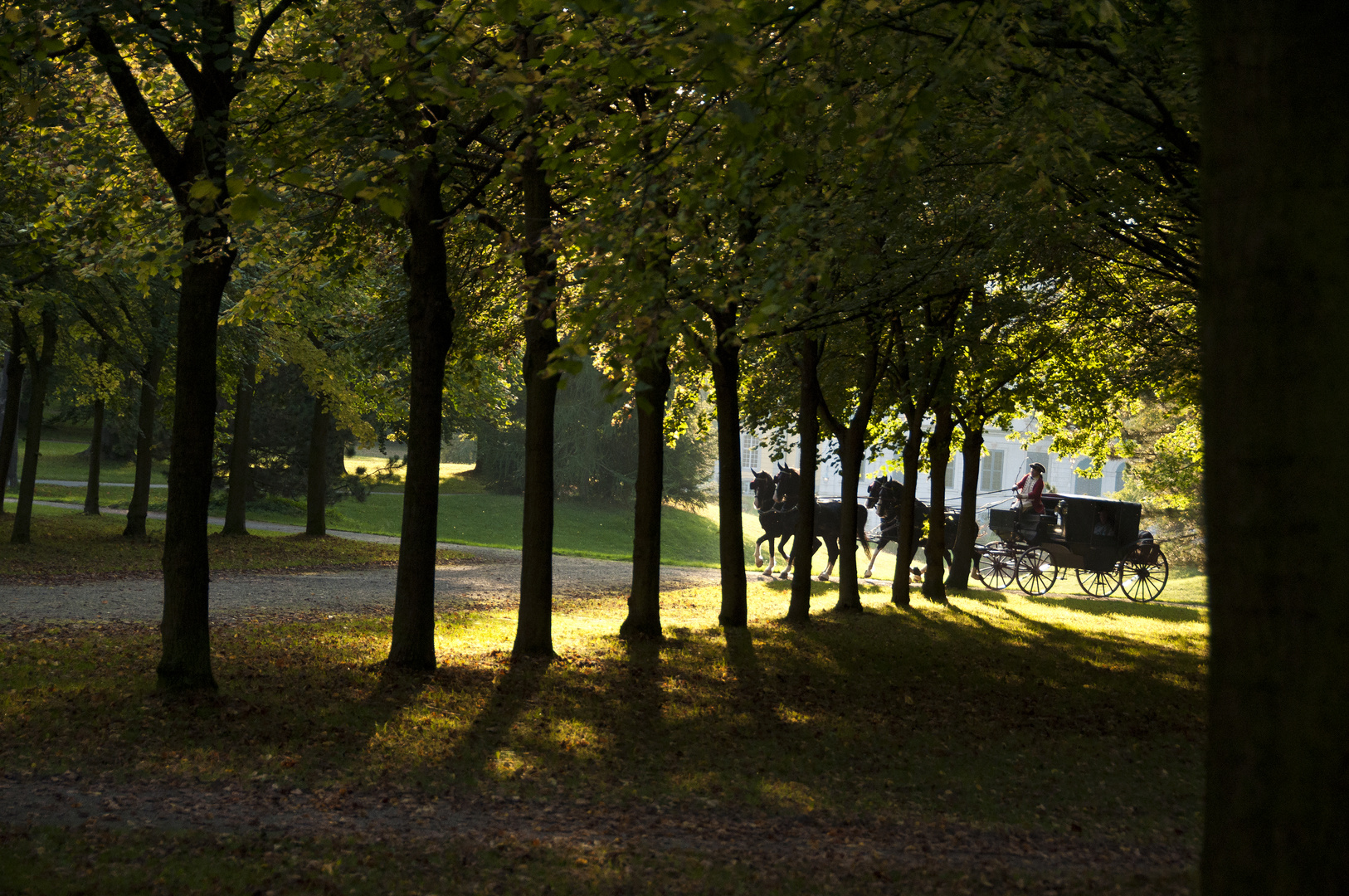 Gelderländer im im Schlosspark