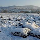 gelegentlich ist mit schneekissen zu rechnen