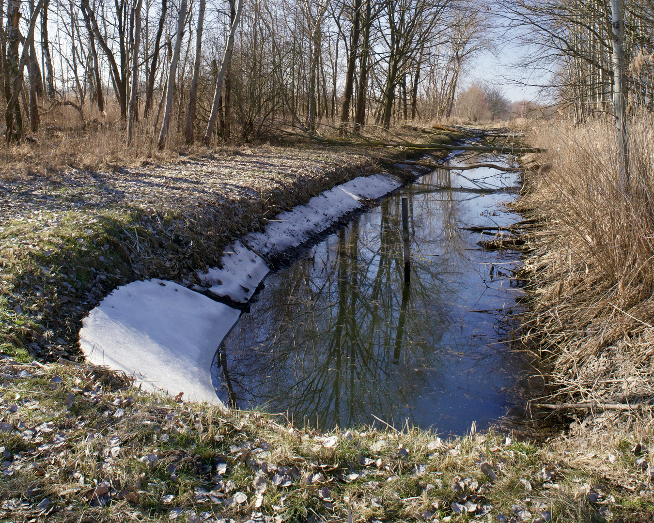 Gelegentlich sieht man noch Schneereste...