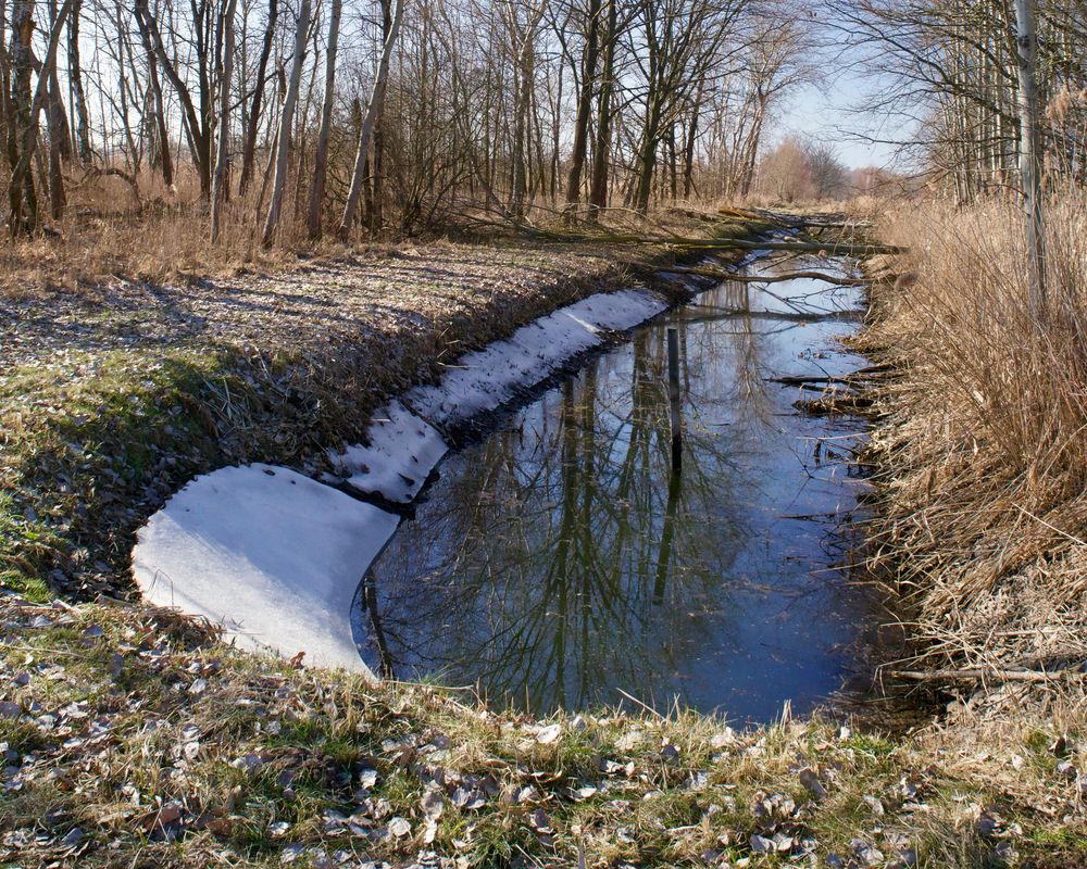 Gelegentlich sieht man noch Schneereste...