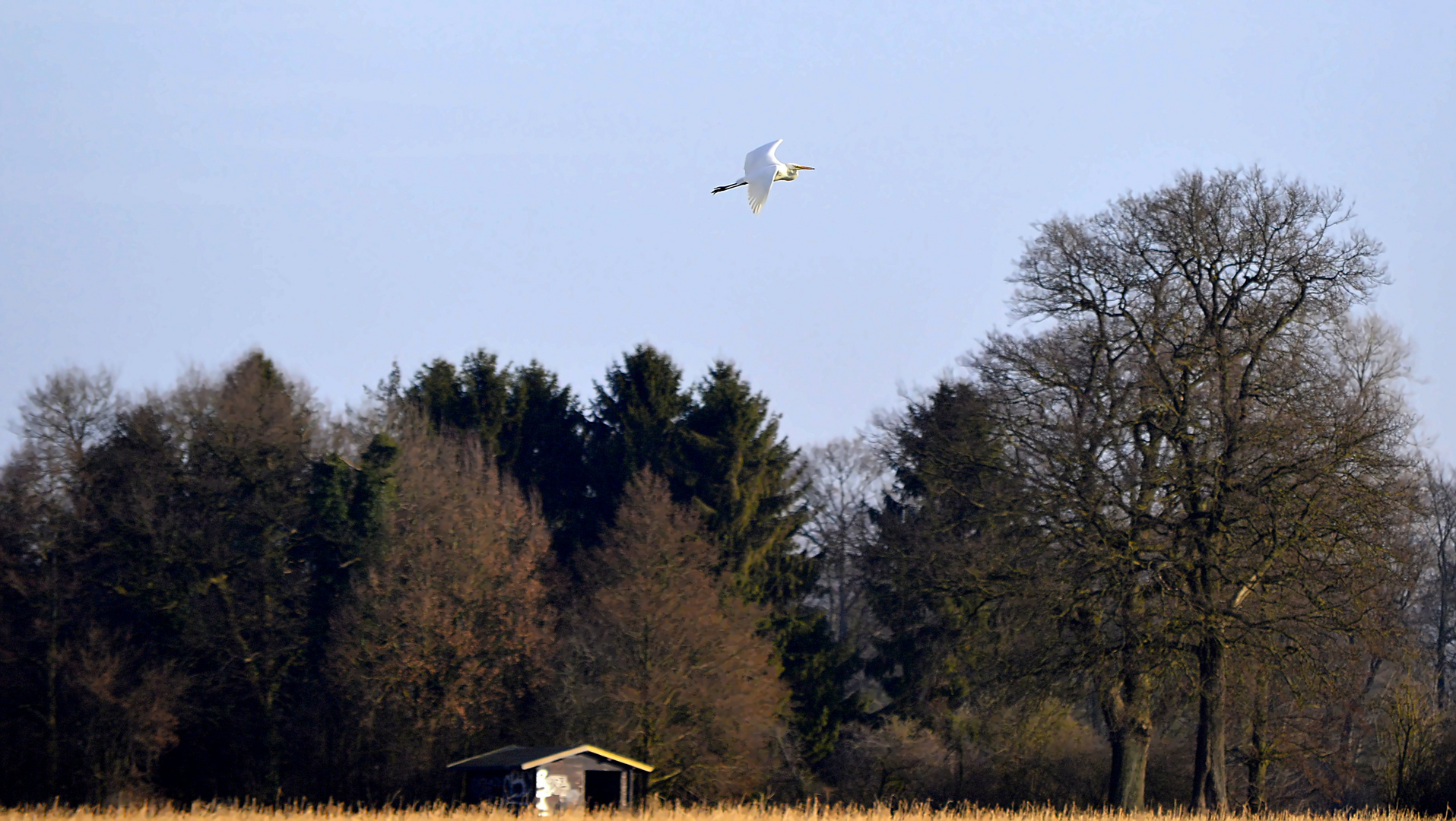 Geliebte Heimat 