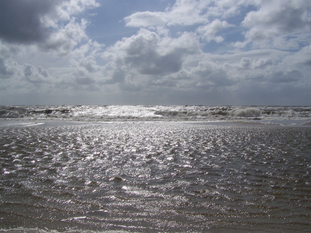 Geliebte Nordsee