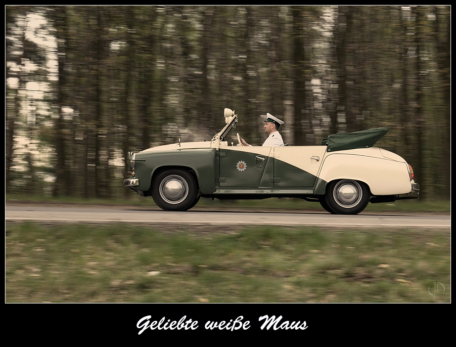 " Geliebte weiße Maus "