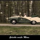 " Geliebte weiße Maus "