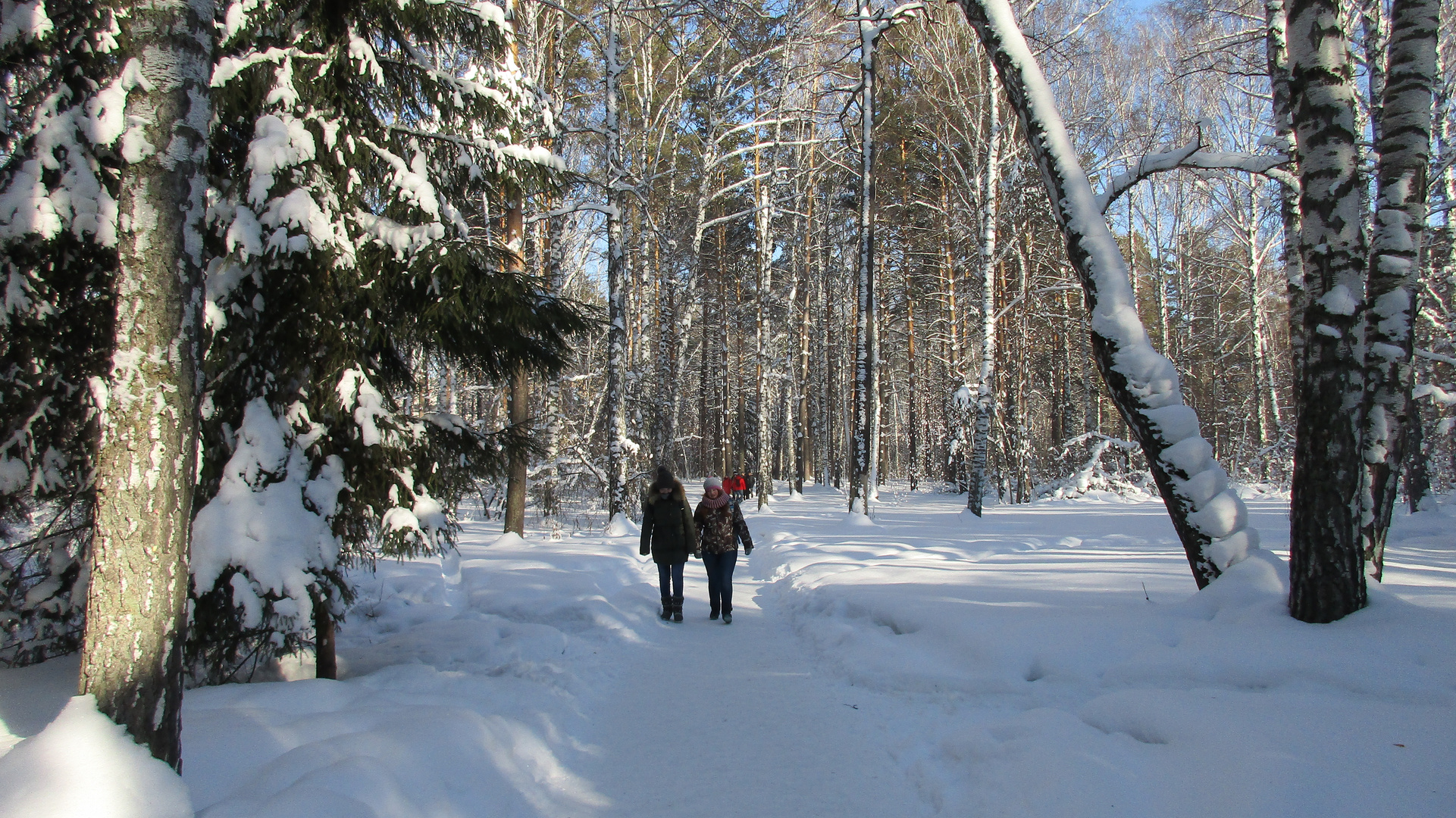 "Geliebten Wald...Oh,wie viel in ihm Wunder!..."